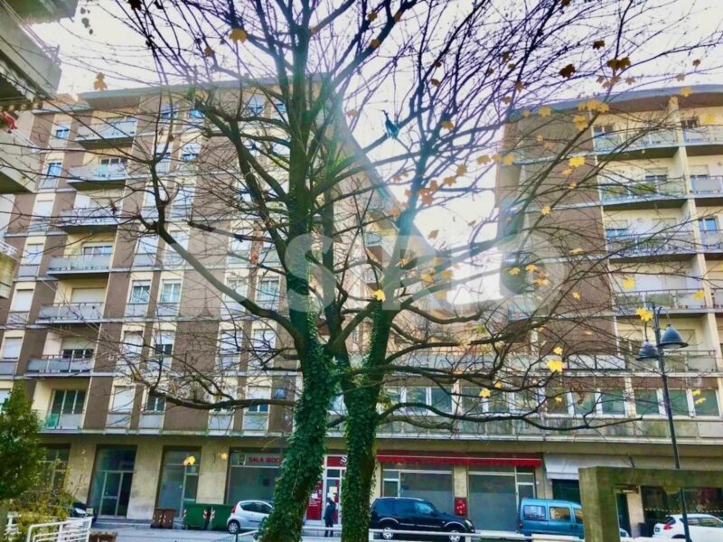 CENTRO: AMPIO APPARTAMENTO TRICAMERE GIA’ LOCATO – OTTIMA RENDITA Monfalcone