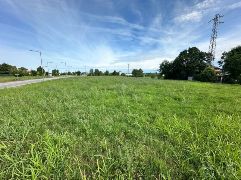 SOLEGGIATO E VERSATILE TERRENO AGRICOLO Villesse