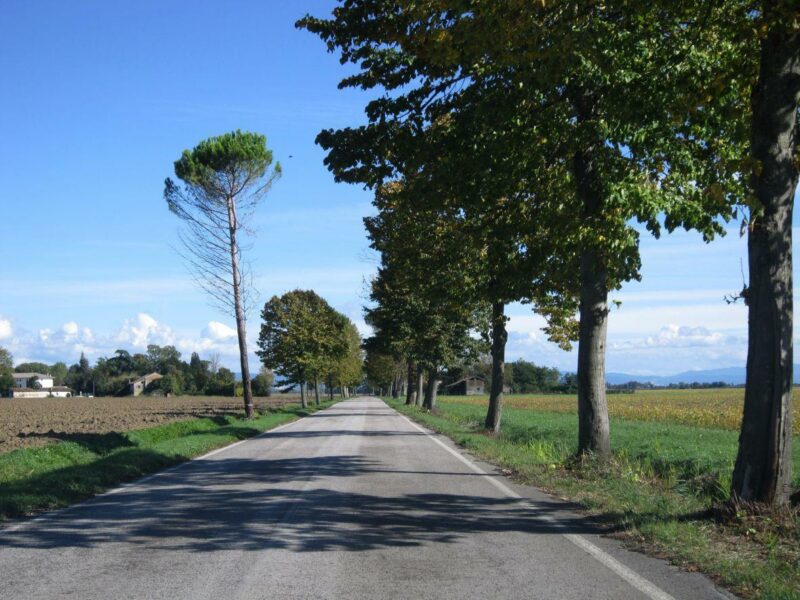 ISOLA MOROSINI: TERRENI EDIFICABILI VARIE METRATURE E CUBATURE San Canzian d’Isonzo