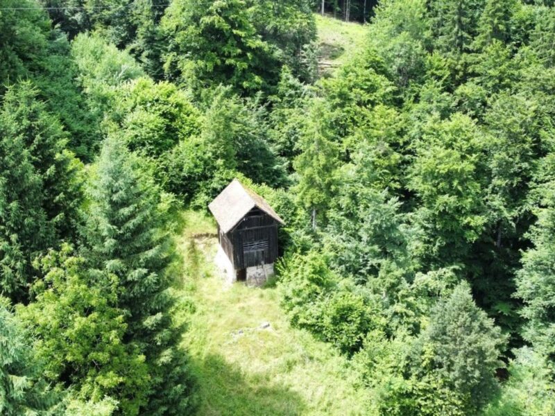 Stavolo circondato dal verde Rigolato