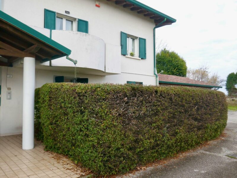 APPARTAMENTO AL PIANO TERRA: giardino, garage e privacy! San Martino al Tagliamento