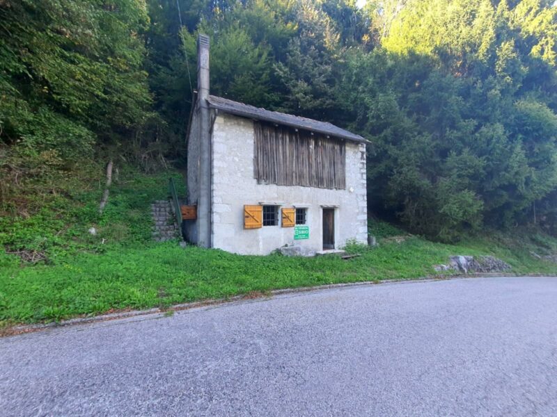 STAVOLO IMMERSO NEL VERDE Tolmezzo