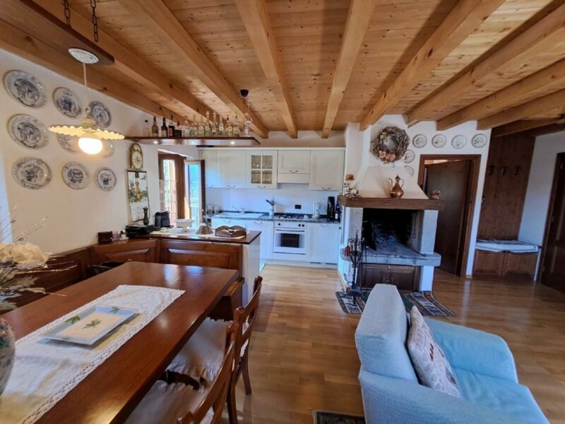 LUMINOSO APPARTAMENTO IN DUPLEX Comeglians
