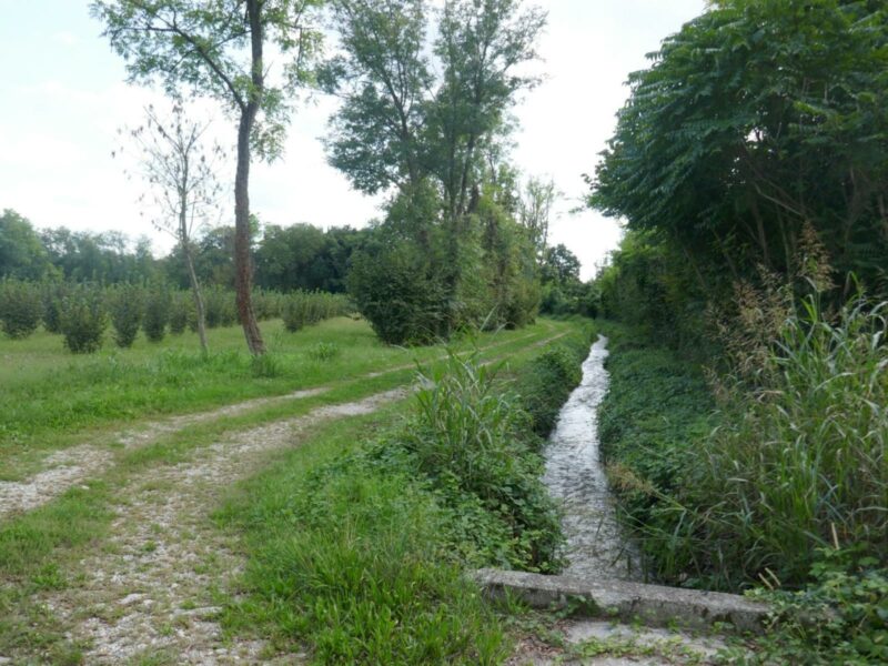 TERRENI AGRICOLI PER OLTRE 8.000 MQ: investimento nella natura! Vivaro