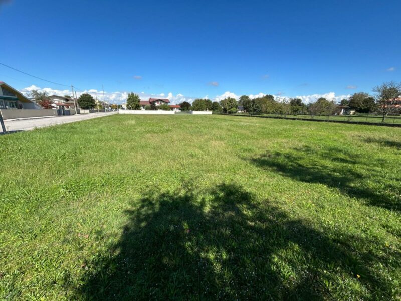 TERRENO EDIFICABILE GIA’  LOTTIZZATO – IDEALE PER VILLA INDIPENDENTE O BIFAMILIARE Lestizza