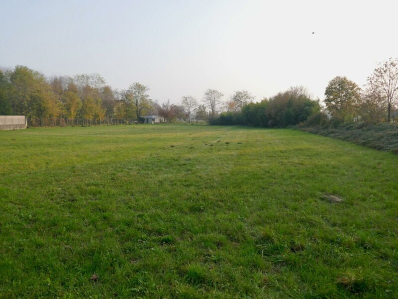 OCCASIONE UNICA: 1.200 mq edificabili + verde agricolo! Arba
