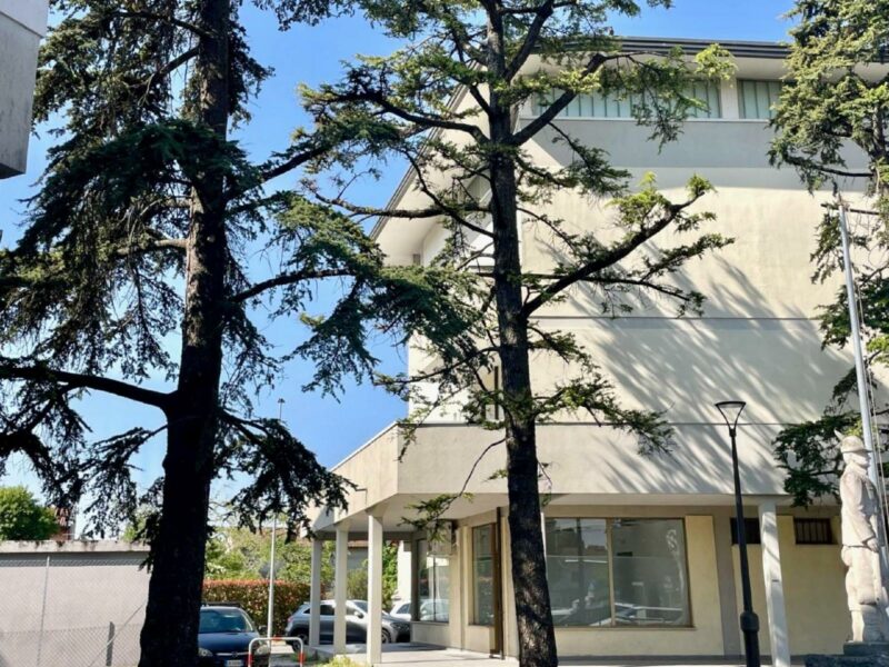TRICAMERE CON TERRAZZO ABITABILE: comfort, qualità e posizione! Fiume Veneto