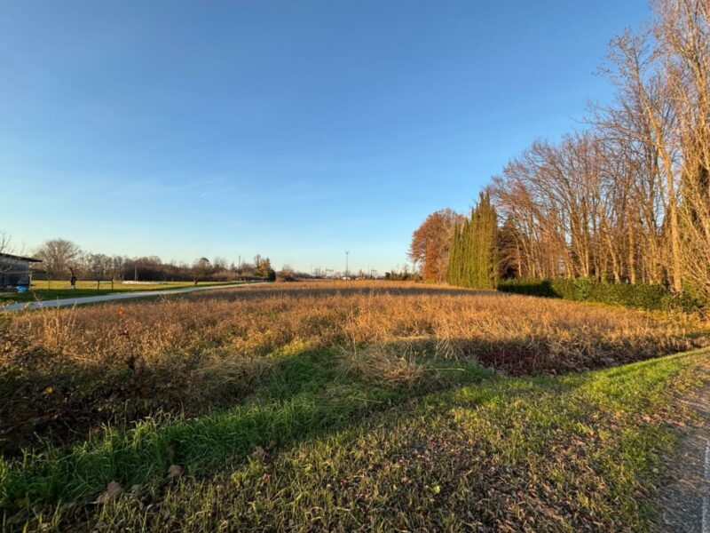 AMPIO TERRENO EDIFICABILE CON ANNESSO AGRICOLO San Giorgio di Nogaro