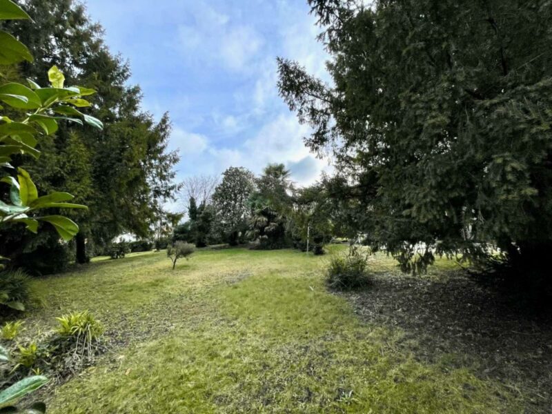 TERRENO DI 1.030 MQ: perfetto per dar vita ai tuoi sogni! San Vito al Tagliamento