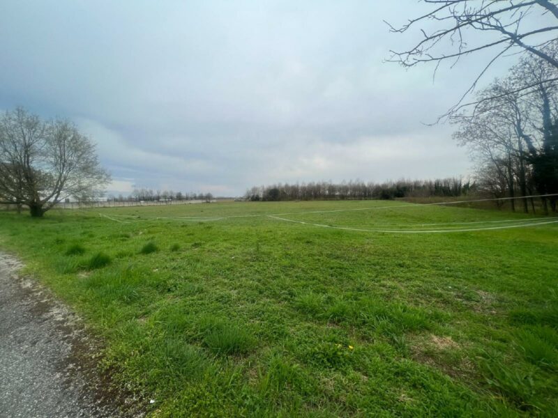 LOTTO DI TERRENO INDUSTRIALE DI 13.000 MQ IN POSIZIONE STRATEGICA Martignacco