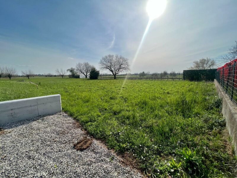 LOTTO EDIFICABILE CON TERRENO AGRICOLO E VISTA APERTA – ULTERIORE DISPONIBILITÀ ANCHE A UDINE Martignacco
