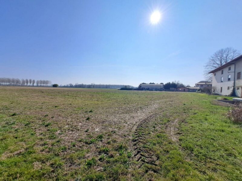 Terreno agricolo Pocenia