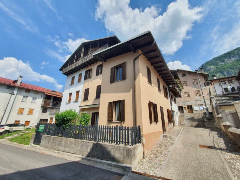 AMPIA CASA IN CENTRO, IDEALE PER LA FAMIGLIA O STRUTTURA RICETTIVA Forni di Sotto
