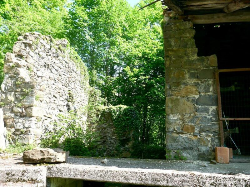 Caratteristica casa indipendente in pietra con ampio scoperto Vito d’Asio